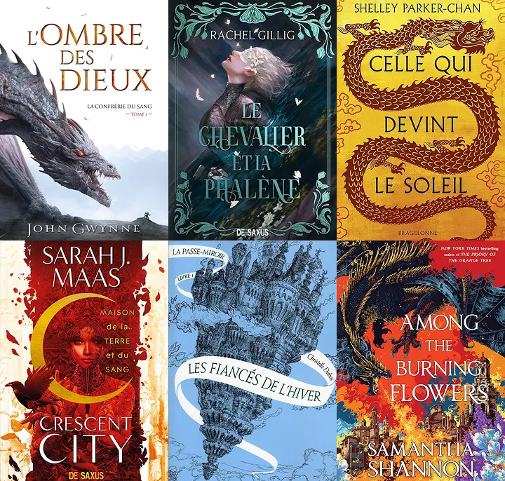 divers couverture de livres de fantasy